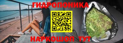 соль ск Кингисепп
