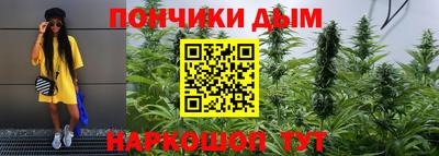 спиды Кимры