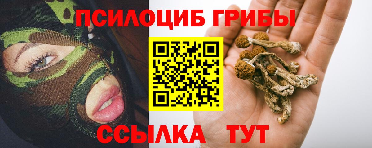 Нарткала  Галлюциногенные грибы мухоморы  Галлюциногенные грибы Psilocybe  Вход с VPN 