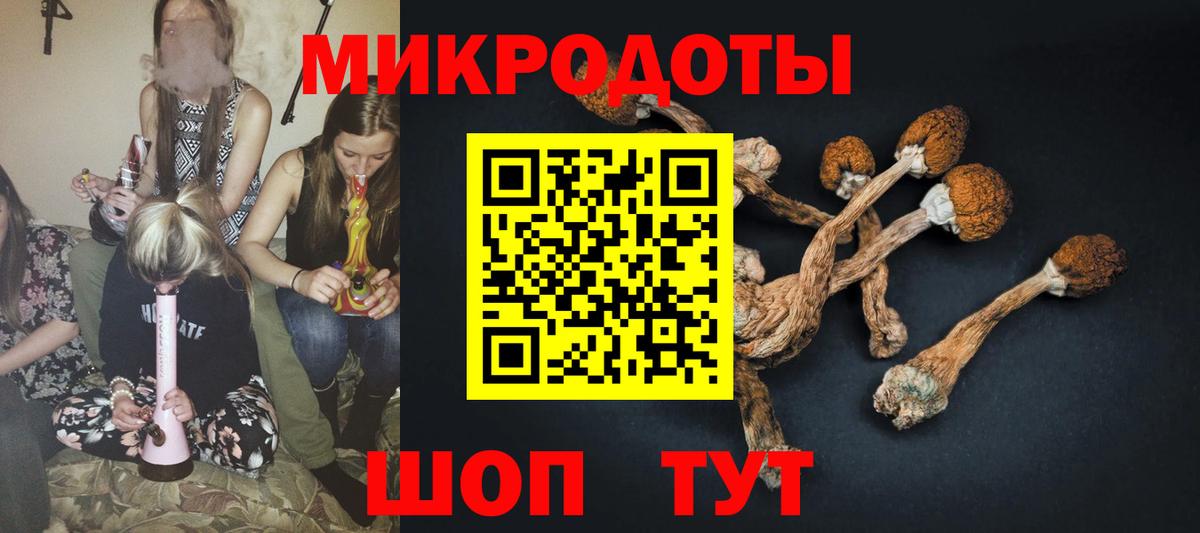 Галлюциногенные грибы мицелий Нарткала